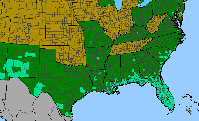 The range of Bidens alba